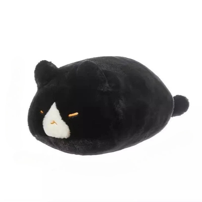Oranje Kat Knuffelkussen | Mollige Poes 13 en 43 cm
