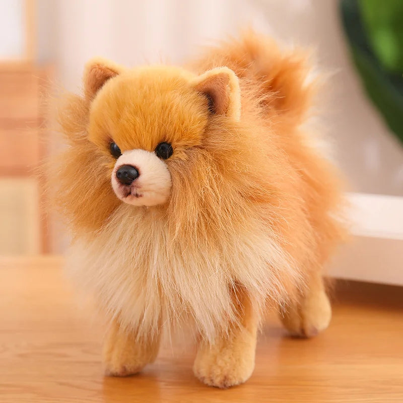Realistische Hond Knuffel | Pomeriaan, Chihuahua, Beagle en meer