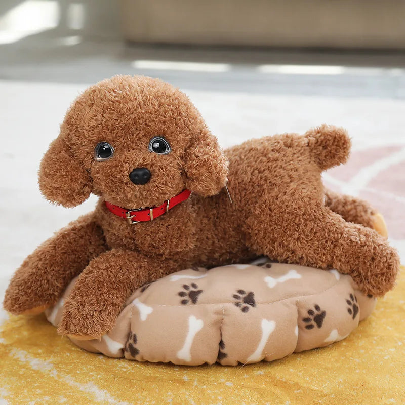 Realistische Teddy Hond Knuffel 30 en 50 cm | 5 Kleuren