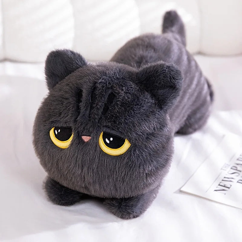 Lang Kat Knuffelkussen
