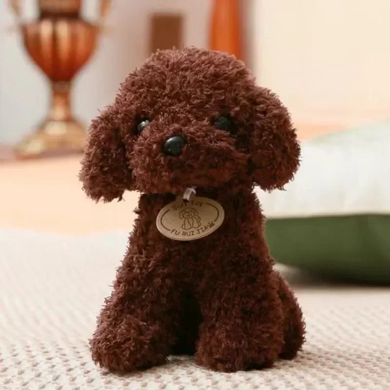 Teddy Hond Knuffel 20 of 25 cm | Krullende Poedel
