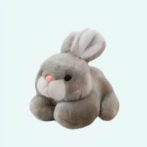 Knuffel Konijn Ster Pluche Reisgenoot Voor Kinderen De Knuffel
