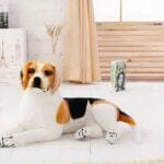 Reuzenknuffel Hond Driekleurig Liggend 90 cm Lang De Knuffel