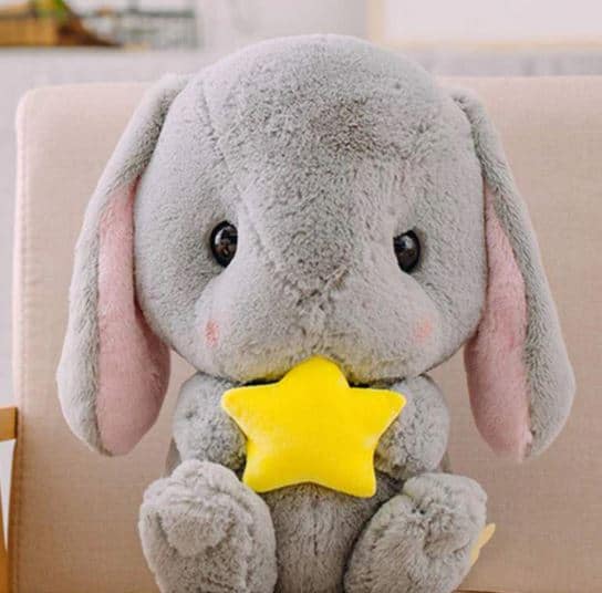 Knuffel Konijn Ster Pluche Reisgenoot Voor Kinderen De Knuffel