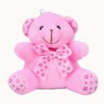 Roze Knuffelbeer Sleutelhanger Zacht en Opgevuld De Knuffel
