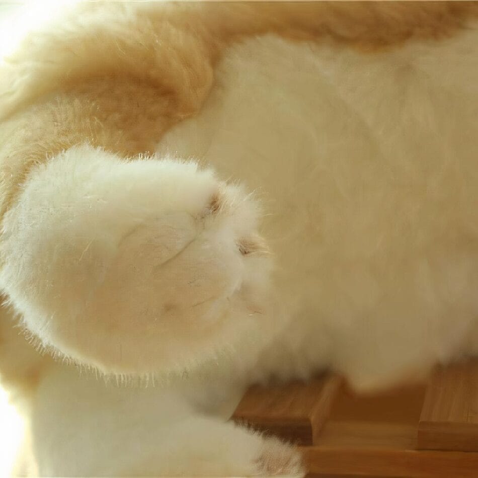 Hondvormige Knuffel Zachte Gezelschap Voor Kinderen De Knuffel