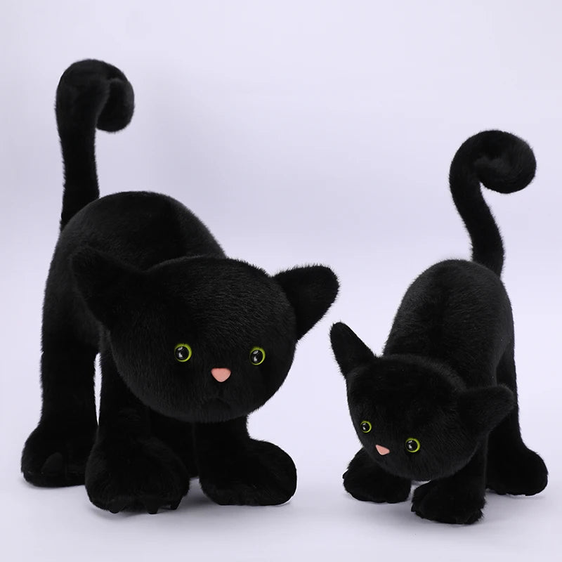 Geschrokken Zwarte Kat Knuffel 20 en 30 cm