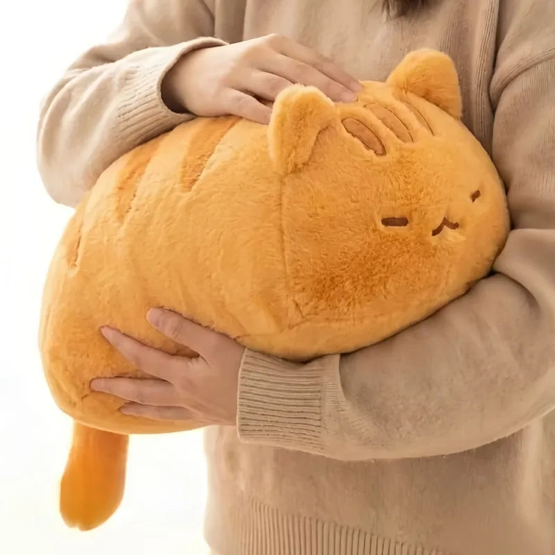 Oranje Kat Knuffelkussen