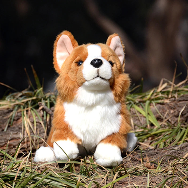 Realistische Corgi Knuffel