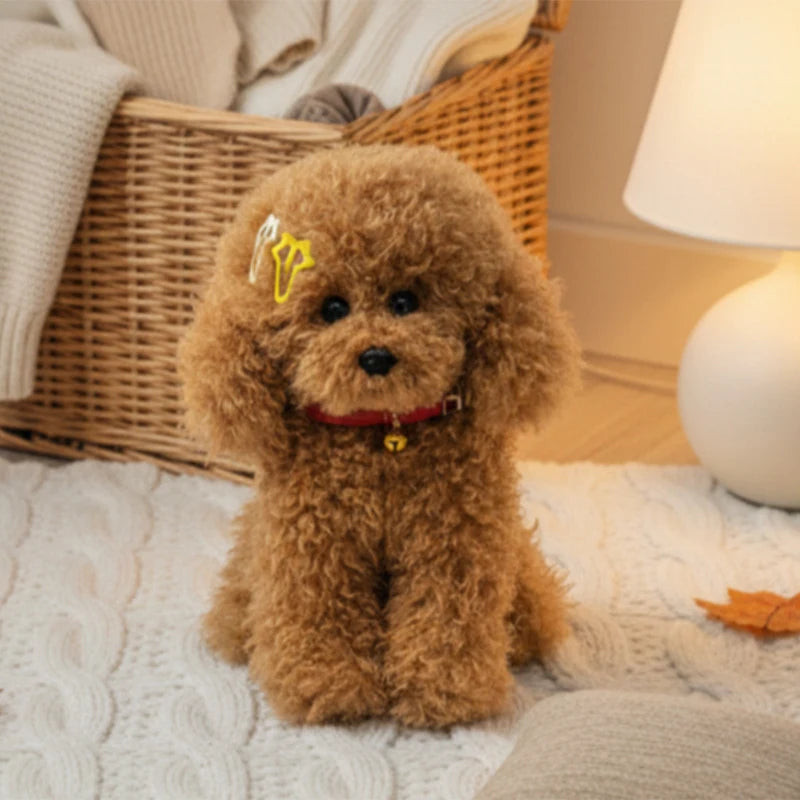 Krullende Teddy Hond Knuffel 30 tot 40 cm | Poedel