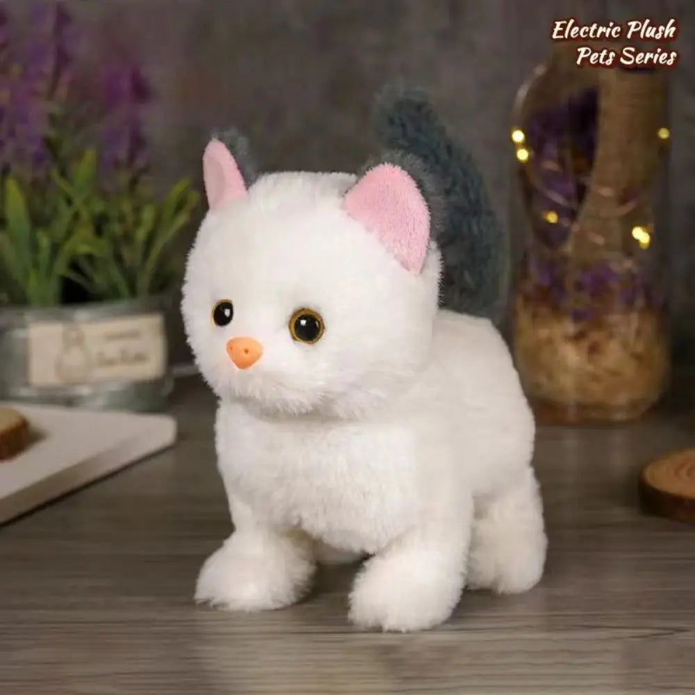 Interactieve Robot Kat