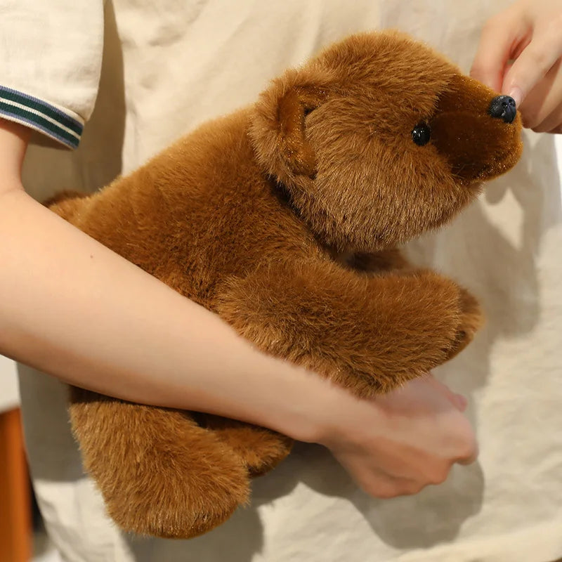 Beer Knuffel 13 tot 38 cm