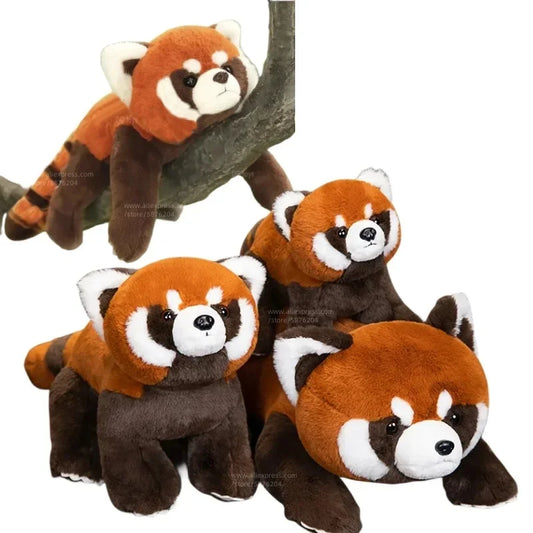 Realistische Rode Panda Knuffel 40 tot 80 cm
