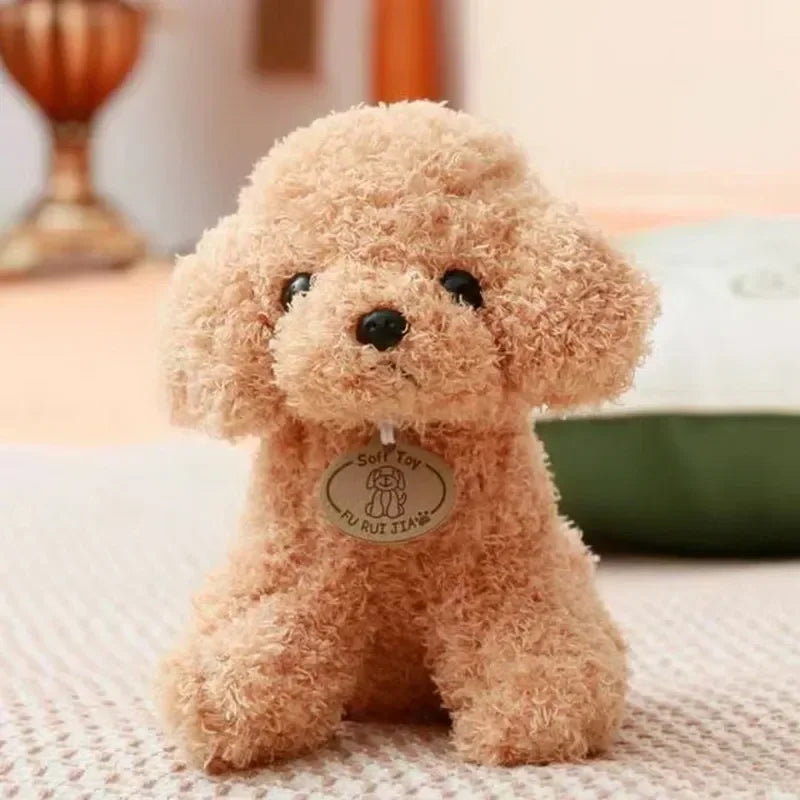 Teddy Hond Knuffel 20 of 25 cm | Krullende Poedel