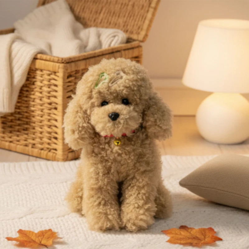 Krullende Teddy Hond Knuffel 30 tot 40 cm | Poedel