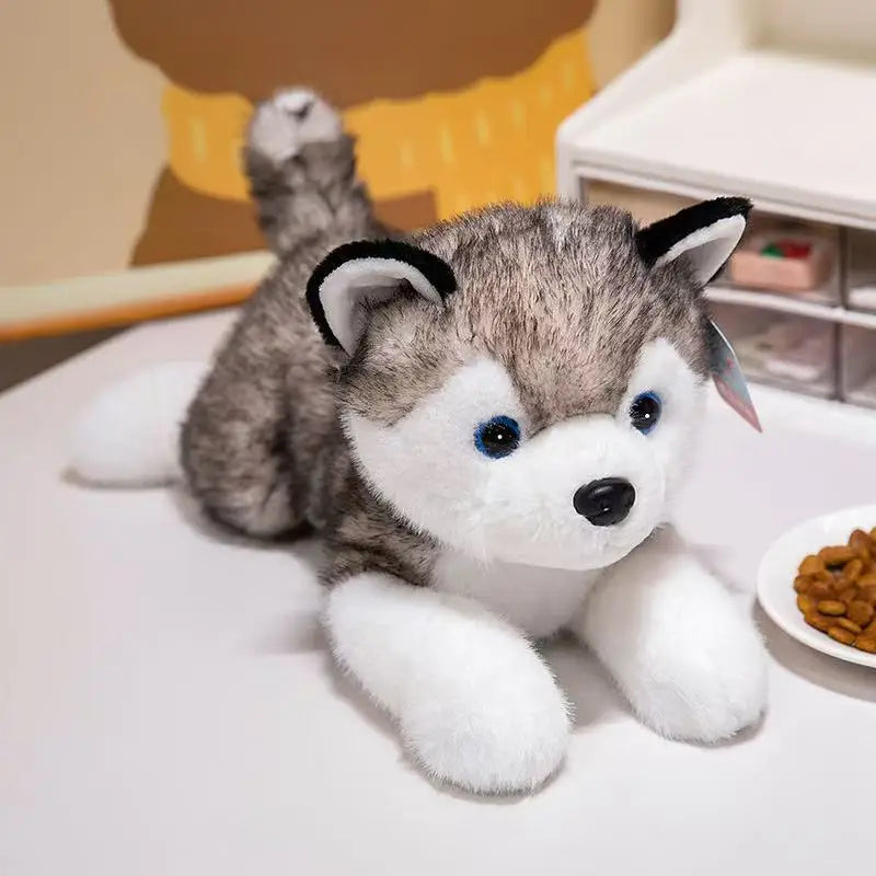 Husky Knuffel 30, 40 of 50 cm