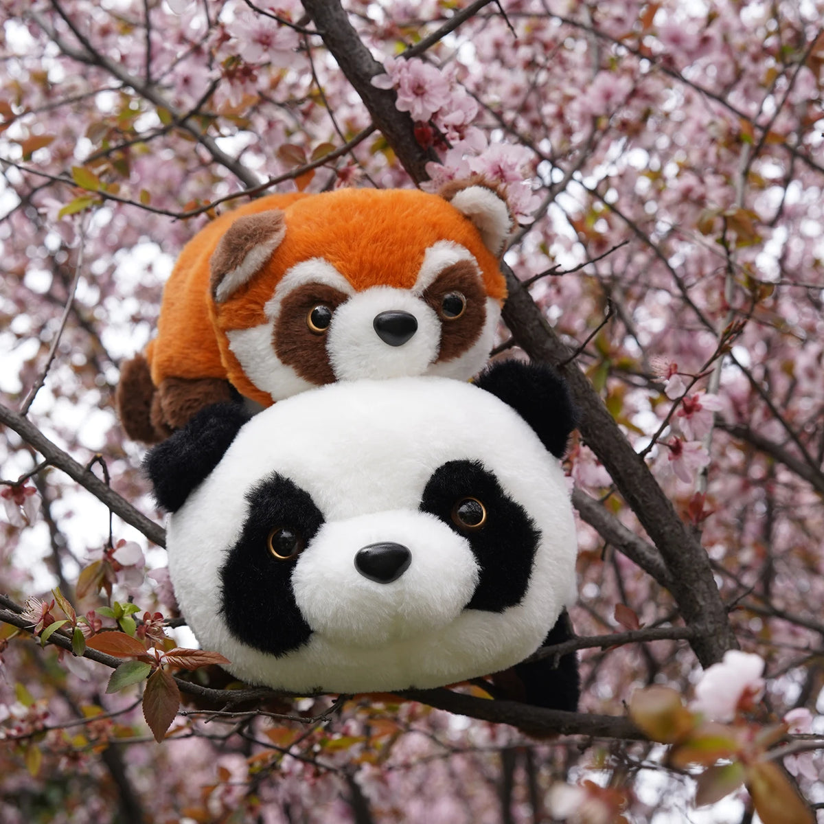 Omkeerbare Panda en Rode Panda Knuffel