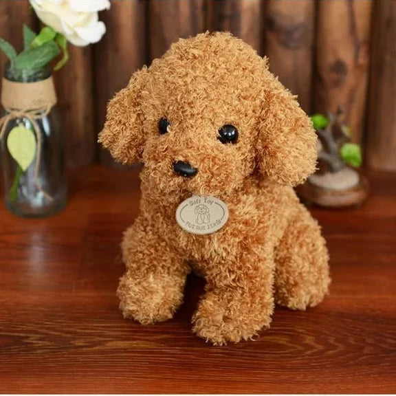 Teddy Hond Knuffel 20 of 25 cm | Krullende Poedel