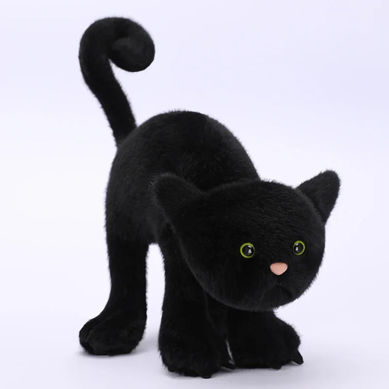 Geschrokken Zwarte Kat Knuffel 20 en 30 cm