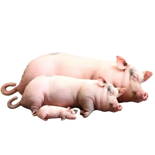 Realistisch Varken Knuffel