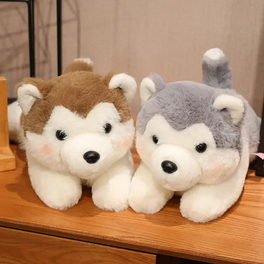 Husky Hond Knuffel 30, 40 en 50 cm