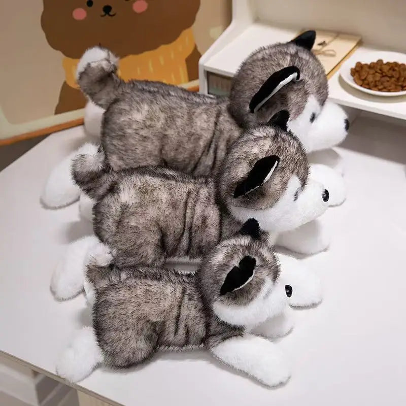Husky Knuffel 30, 40 of 50 cm