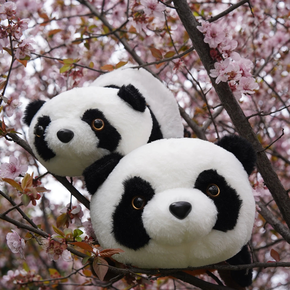 Omkeerbare Panda en Rode Panda Knuffel
