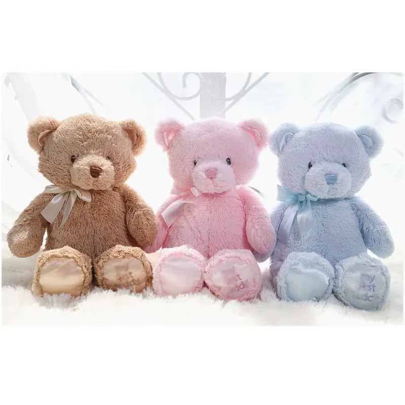 Kleurrijke Teddybeer 28 cm