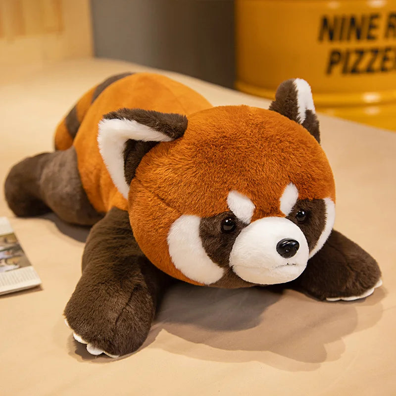 Realistische Rode Panda Knuffel 40 tot 80 cm | Liggend of Staand