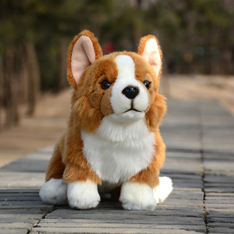 Realistische Corgi Knuffel