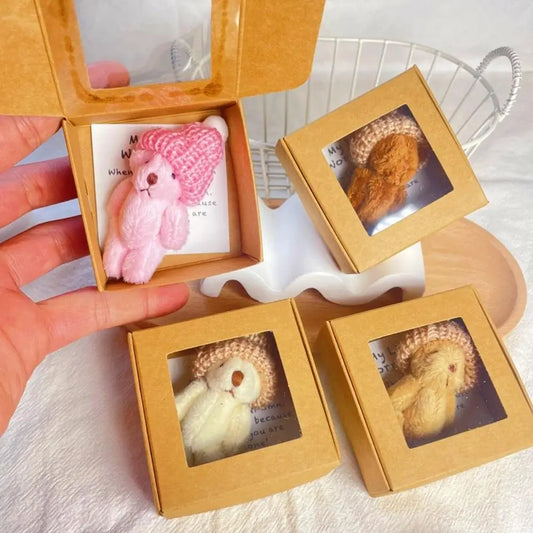 Mini Zorgbeertje in Doosje