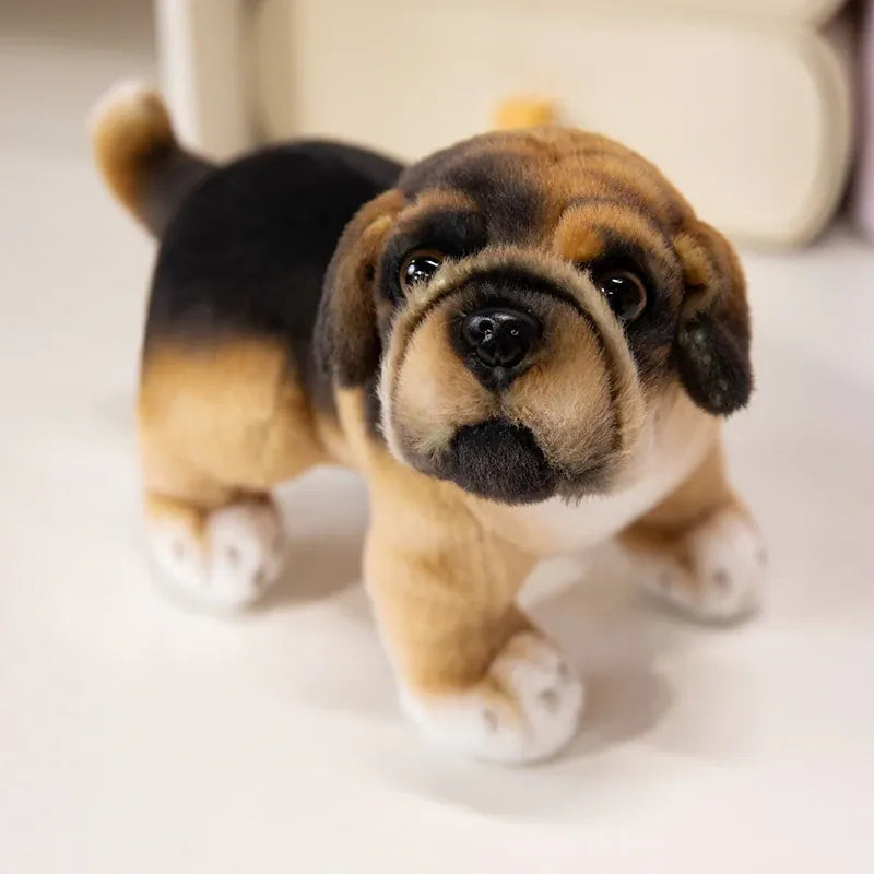 Realistische Mopshond of Bulldog Knuffel 22 cm | 7 Kleuren De Knuffel Zwart bruine mops