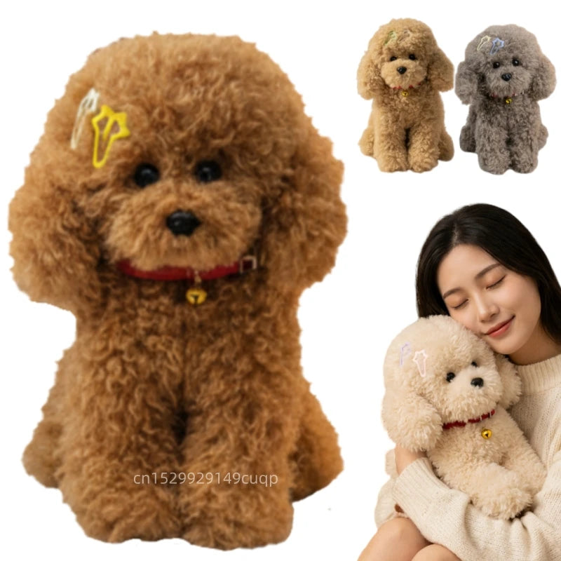 Krullende Teddy Hond Knuffel 30 tot 40 cm