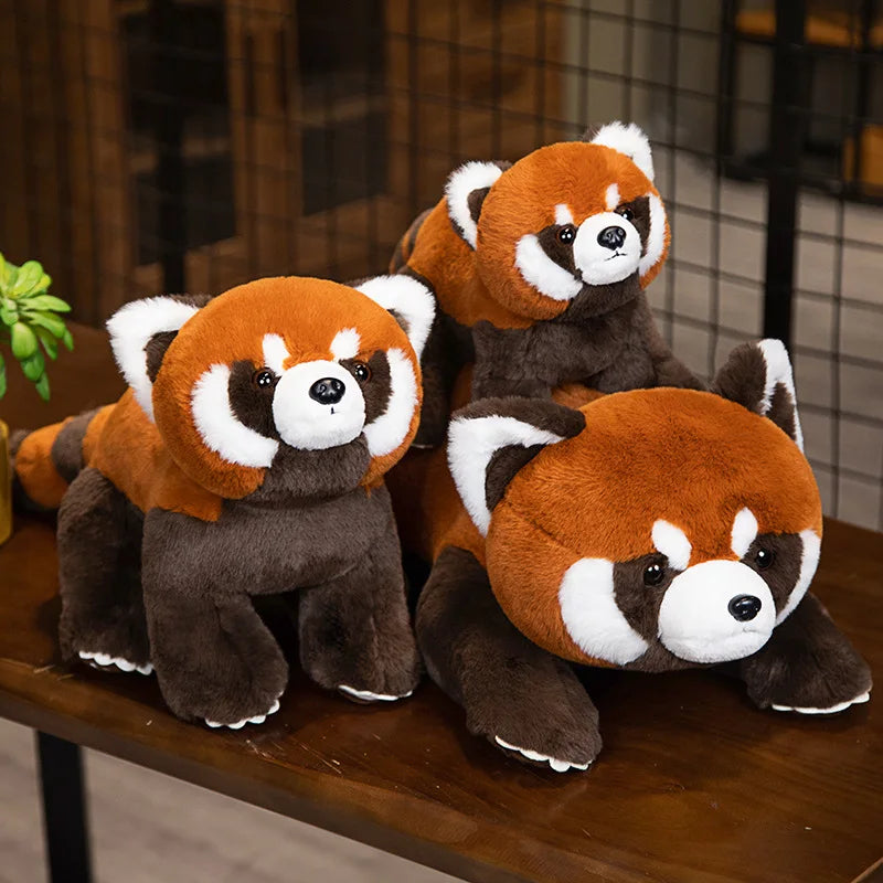 Realistische Rode Panda Knuffel 40 tot 80 cm