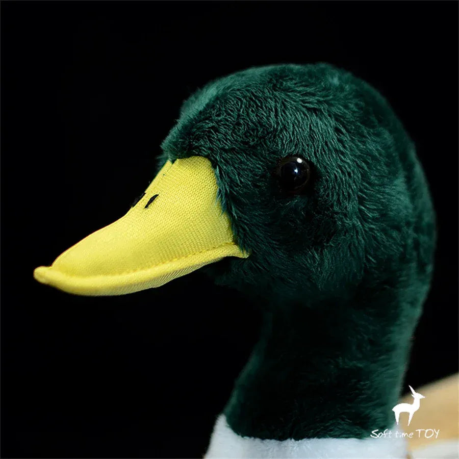 Realistische Wilde Eend Knuffel | Levensechte Woerd De Knuffel