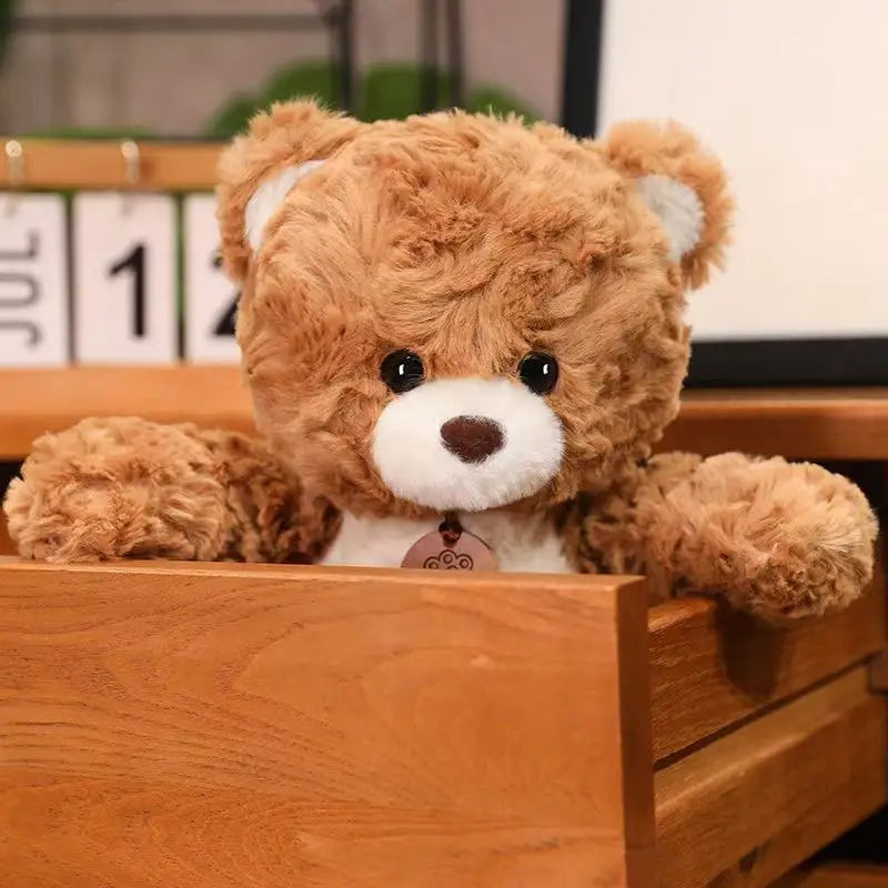 Teddybeer Knuffel 35, 50 of 80 cm