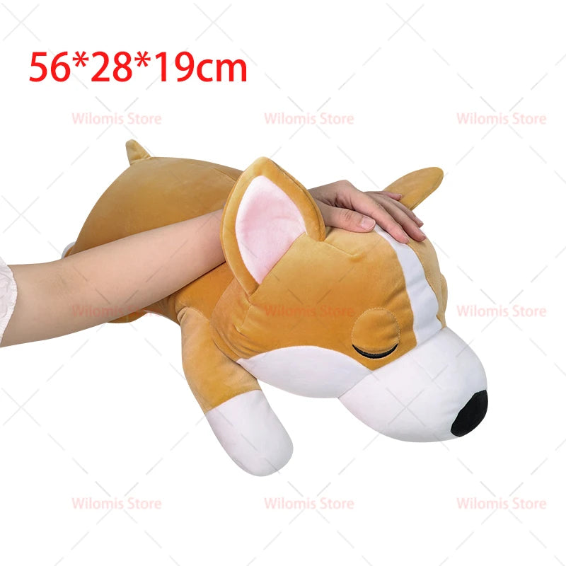 Realistische Hond Knuffel | Slapende Teckel, Corgi, Shiba Inu en meer