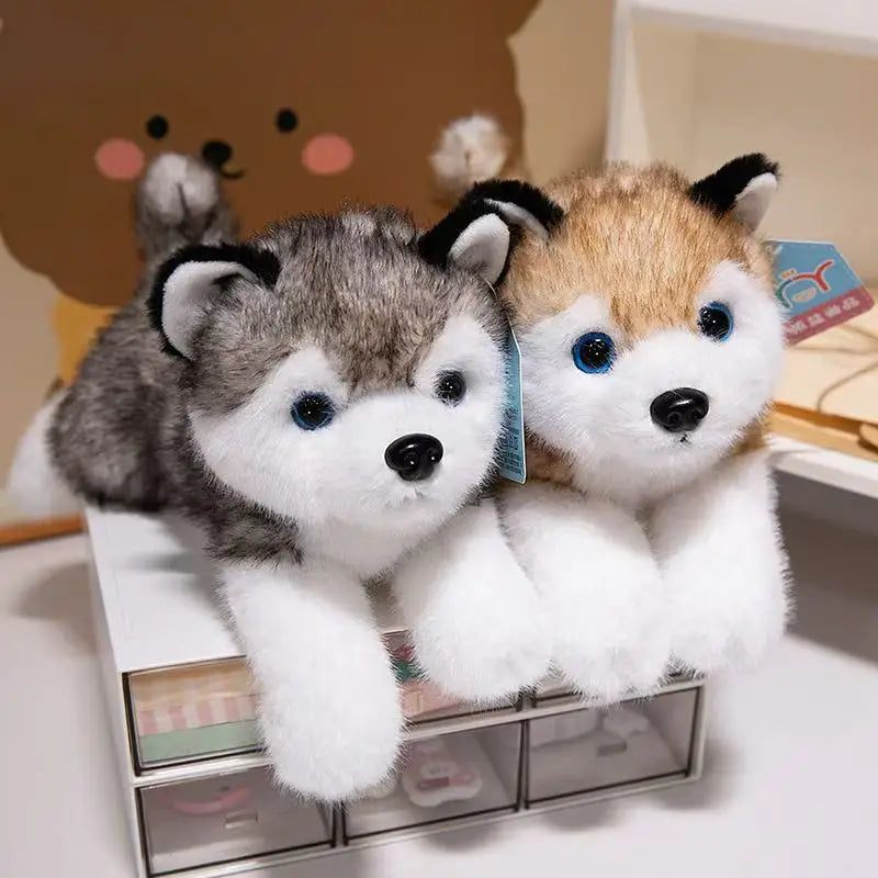 Husky Knuffel 30, 40 of 50 cm