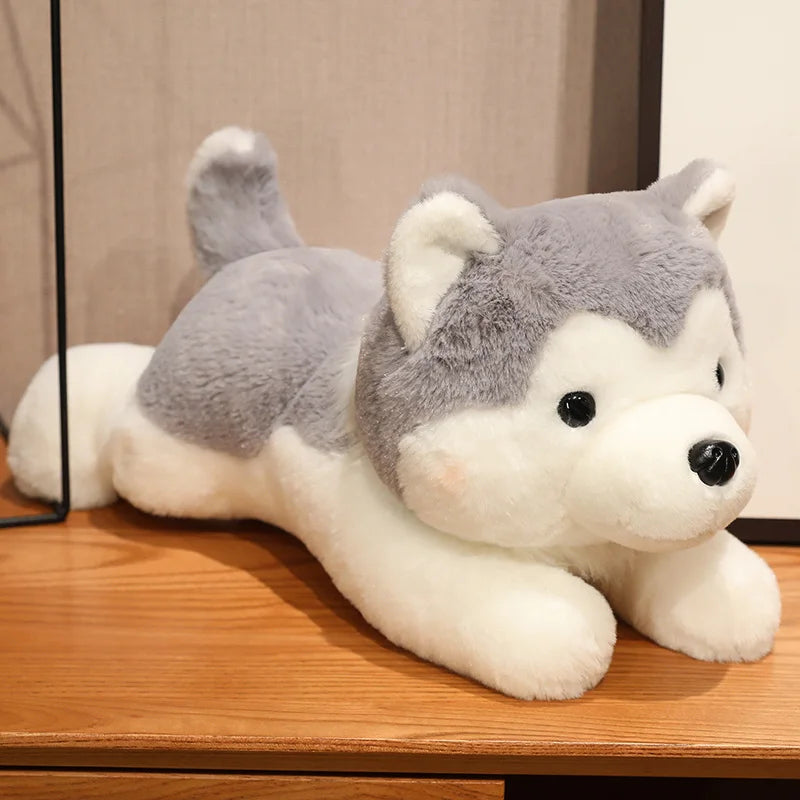 Husky Hond Knuffel 30 of 40 cm