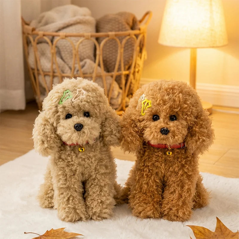 Krullende Teddy Hond Knuffel 30 tot 40 cm