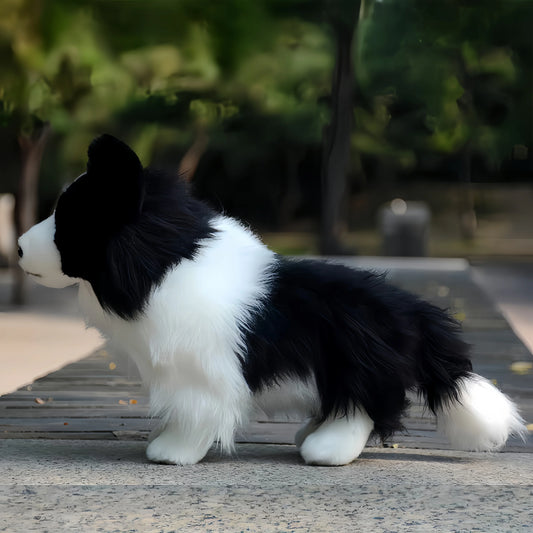 Border Collie Hond Knuffel 30 cm