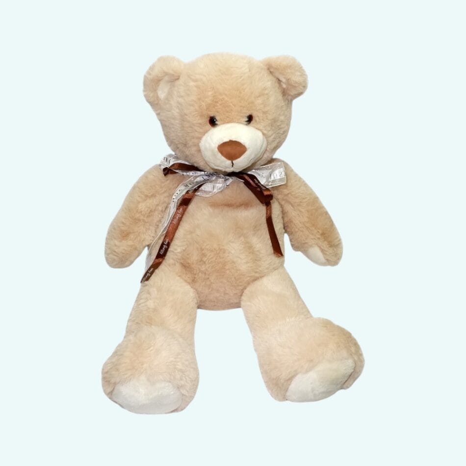 Baby Knuffelbeer Bouillotte Magnetron Warmte Met Zaden De Knuffel