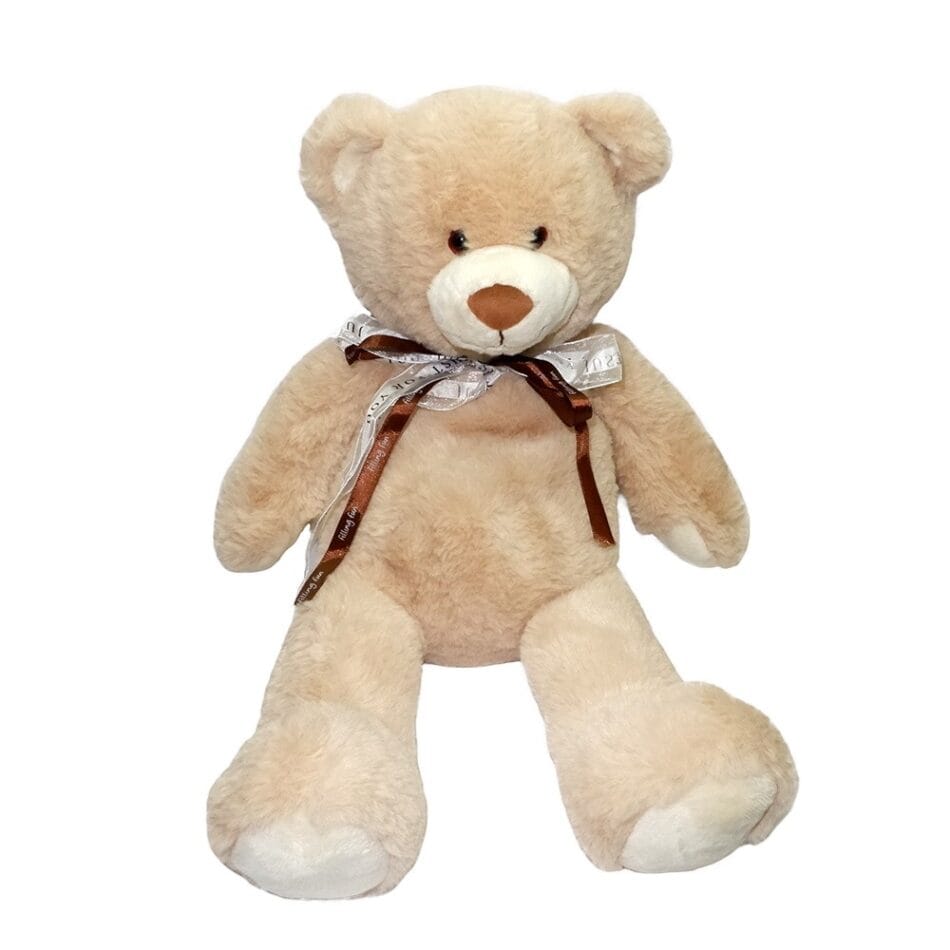 Baby Knuffelbeer Bouillotte Magnetron Warmte Met Zaden De Knuffel