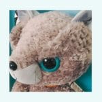 Beige Knuffel Kat Zittend Realistische Speelgenoot Troostknuffel De Knuffel