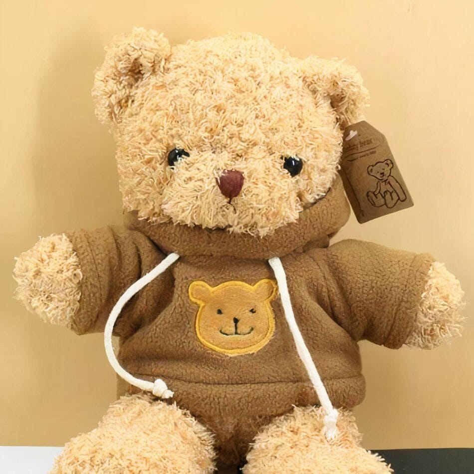 Bruine Knuffel Beertje Met Donkerbruine Trui Van Pluche De Knuffel