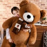Bruine Knuffelbeer 31 cm Zachte Stof en Nette Afwerking De Knuffel