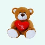 Bruine Knuffelbeer Amour Met Donker Zijdeachtige Vacht Geschenk De Knuffel