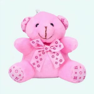 Bruine Knuffelbeer Sleutelhanger van Pluche De Knuffel