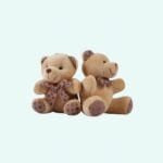 Bruine Knuffelbeer Sleutelhanger van Pluche De Knuffel