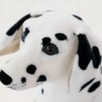 Dalmatien Knuffelhond Grote Maat Zacht Pluche Realistisch Ontwerp De Knuffel